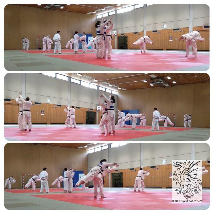 Judo Festival Tag 2 Judo Festival Tag 2