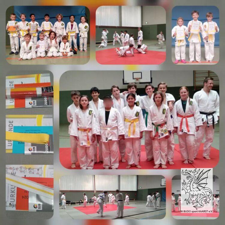 Kyu-Graduierung Kyu-Graduierung